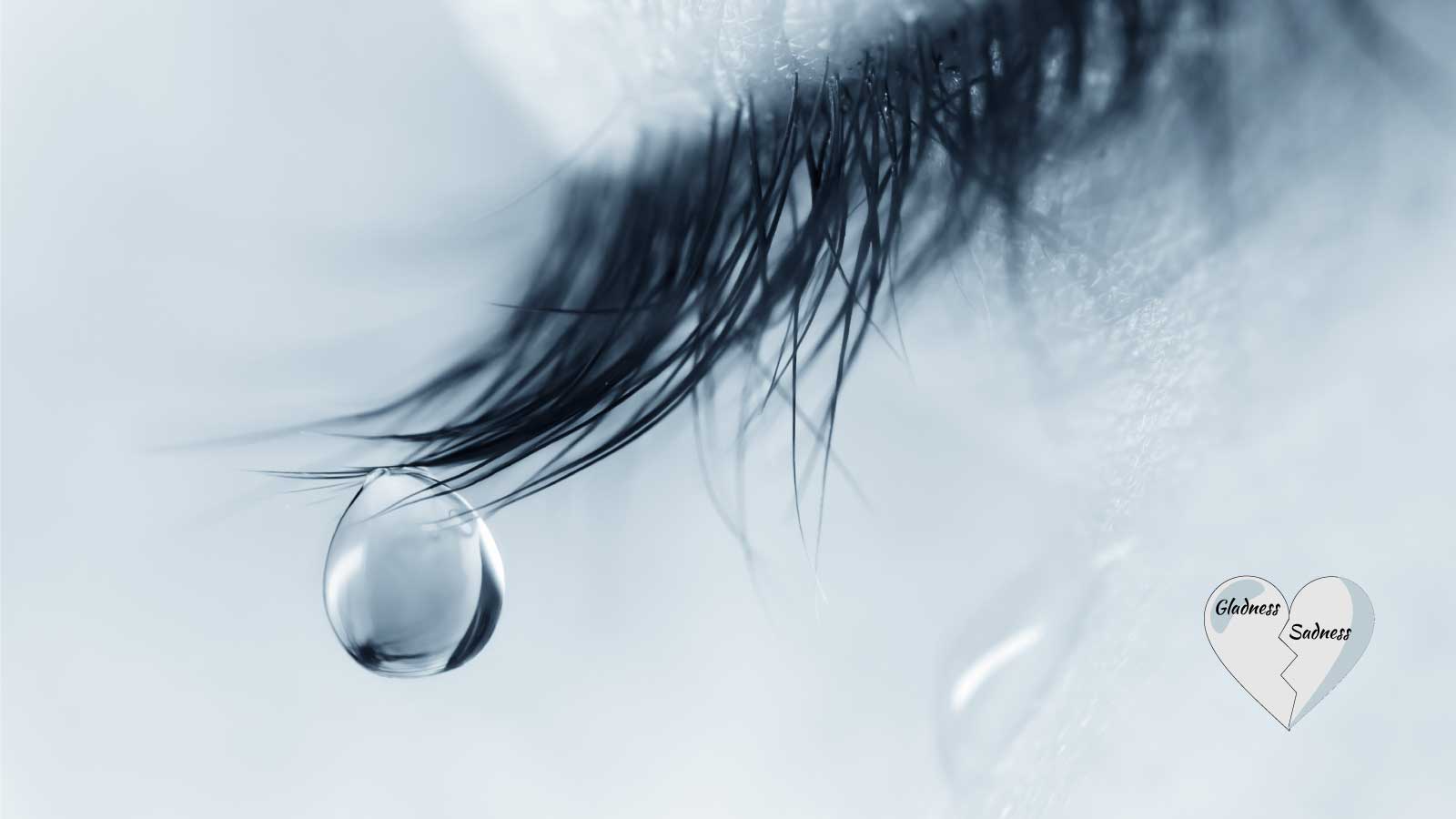 Gladness Through Sadness Revive Family